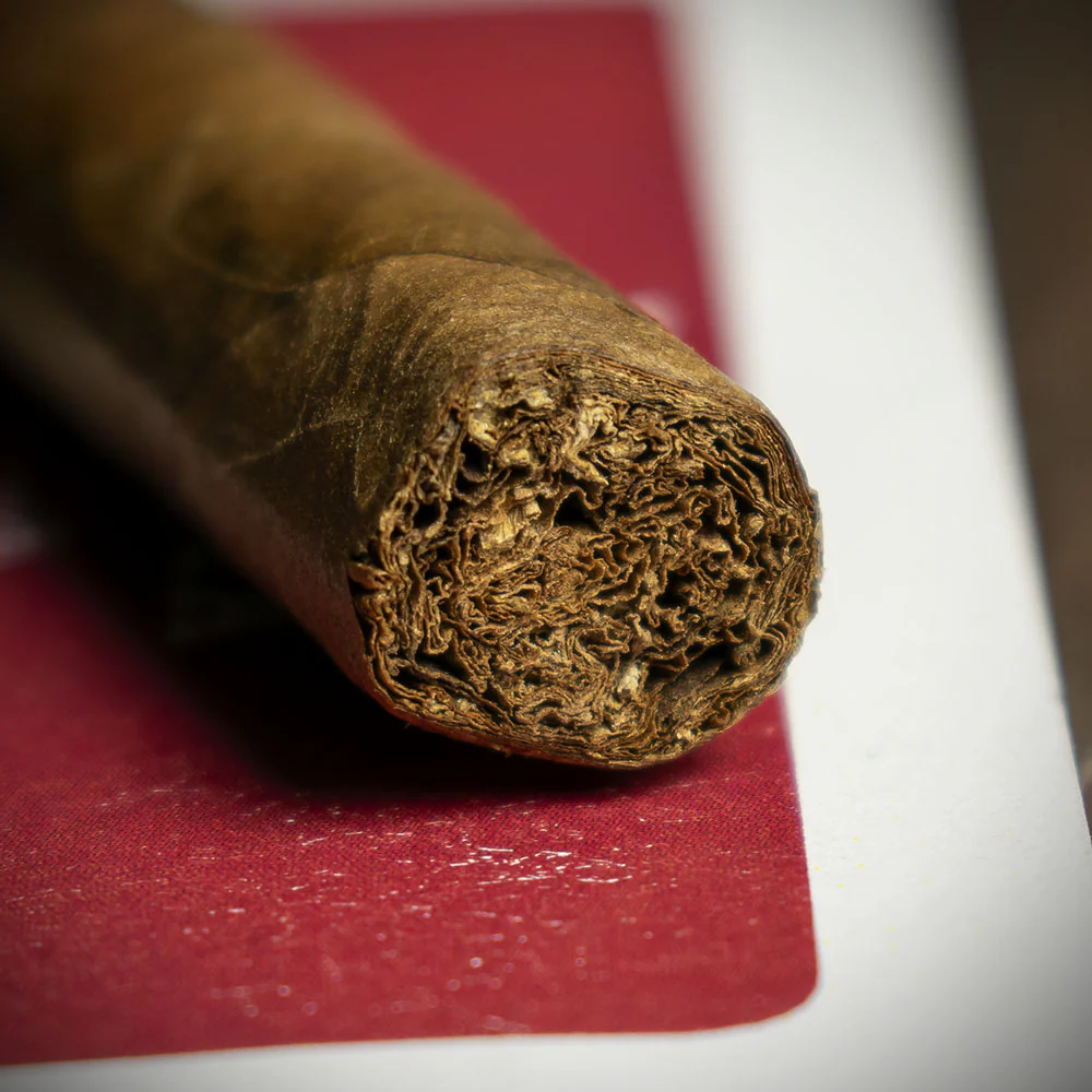 La Invicta Nicaraguan Panatela Cigar - Single - Image 6