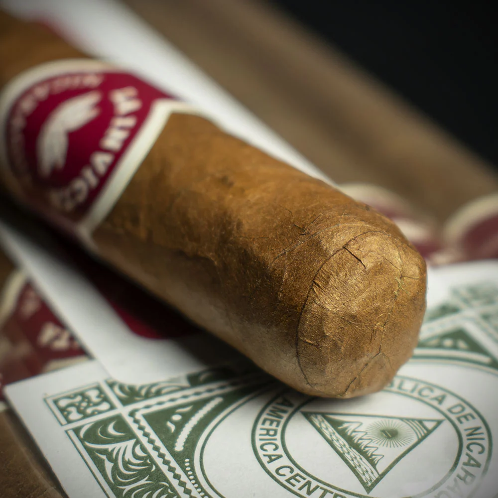La Invicta Nicaraguan Petit Corona Cigar - Single - Image 5