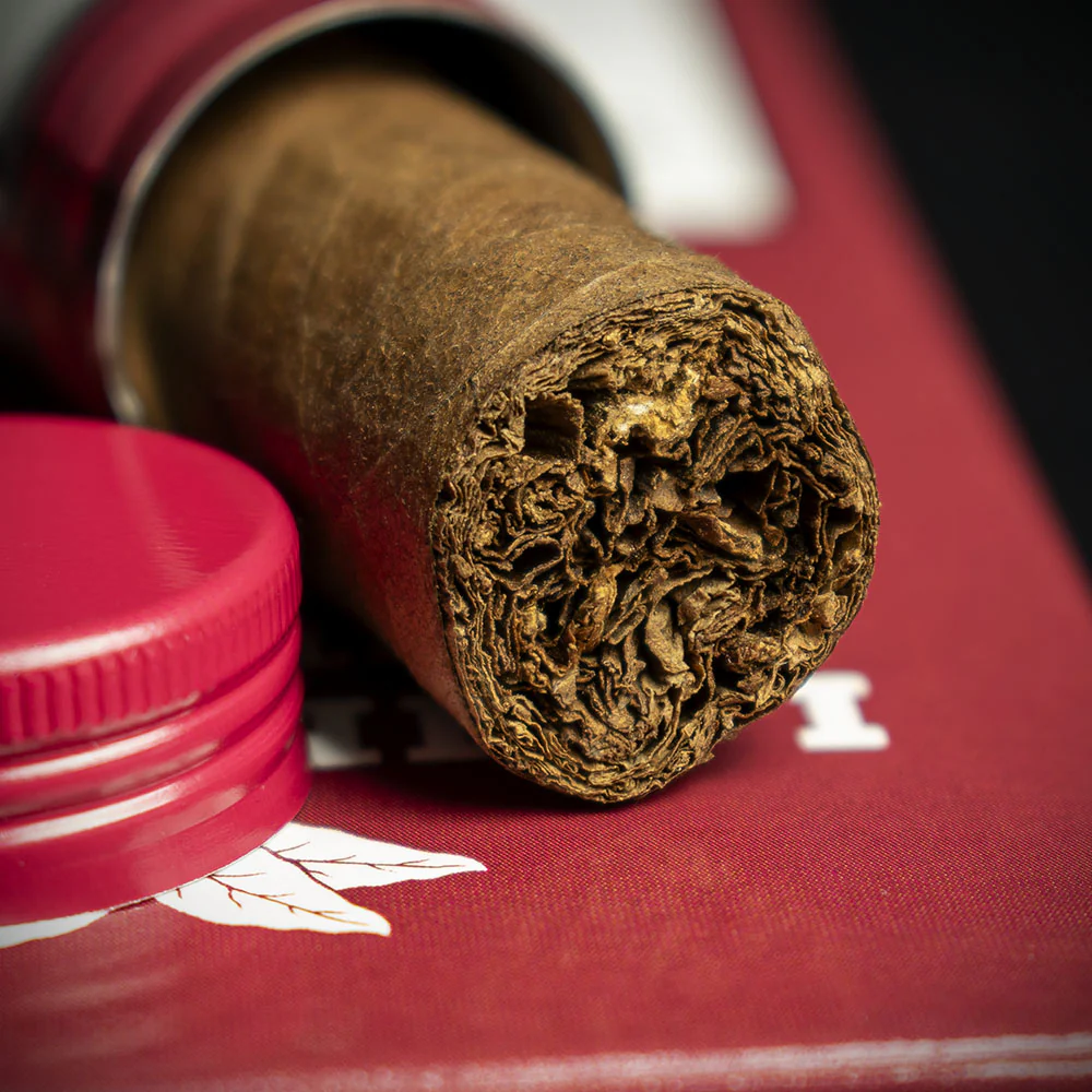 La Invicta Nicaraguan Tubos Petit Corona Cigar - Single - Image 6