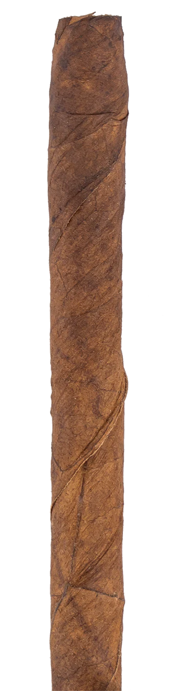 Partagas Club Cuban Cigar - Single