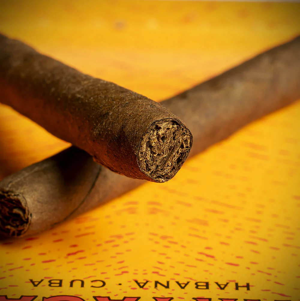 Partagas Club Cuban Cigar - Single - Image 5