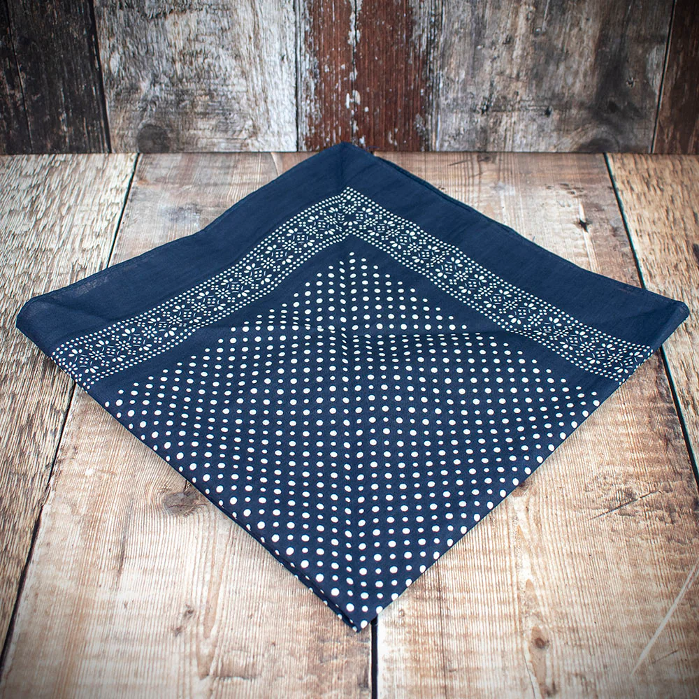 Snuff Handkerchief - Blue Patterned Border & Polka Dots - Image 2