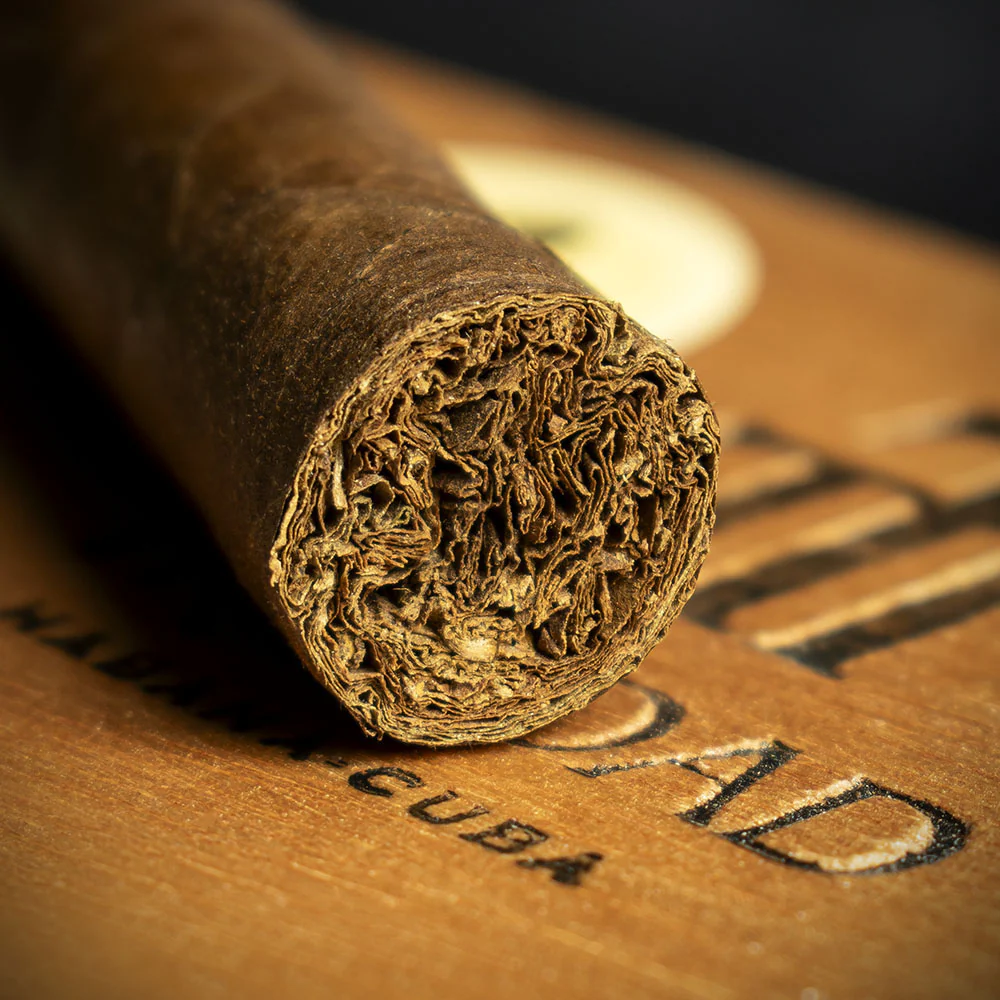 Trinidad Fundadores Cuban Cigar - Single - Image 6
