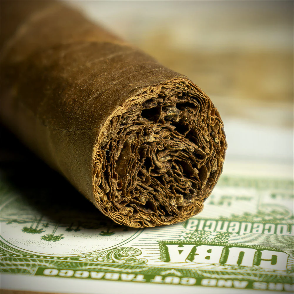 Trinidad Reyes Cuban Cigar - Single - Image 6