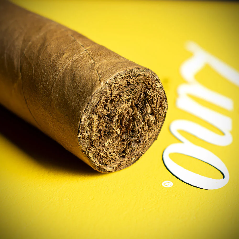 Zino Nicaragua Gordo Cigar - Single - Image 6