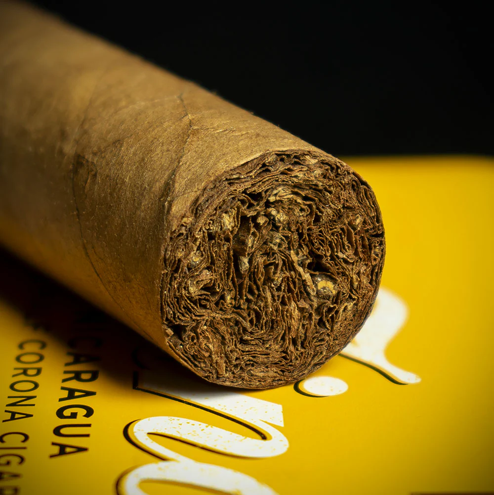 Zino Nicaragua Half Corona Cigars - Tin of 5 - Image 5